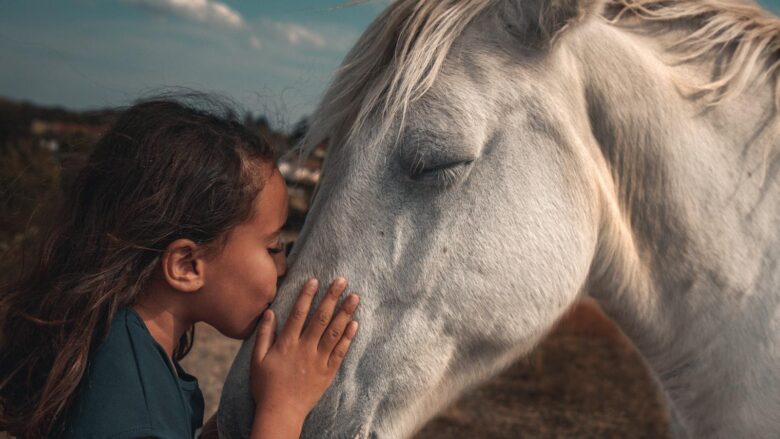 Empower Your Equestrian Journey: How to Have a Horse and Fulfill Your Dreams!